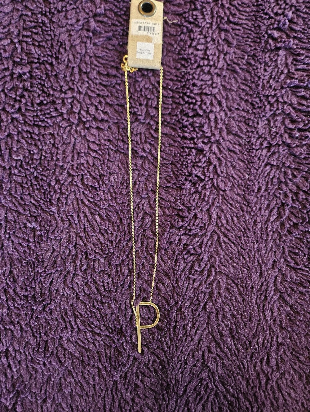 NWT. "P" Letter Necklace